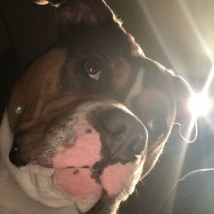 Meet your Posher, Todd